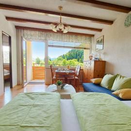 ROBERTO Haus KMB Seeappartement am Ossiacher See, Hallenbad, Skiarena Gerlitzen – hotel w mieście Tschöran