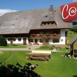 Kapfenmathishof Urlaubsbauernhof