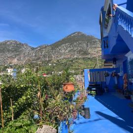 Casa laila