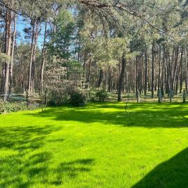 Waldhaus am See