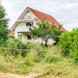 Beutenmühle Straussenfarm Dach