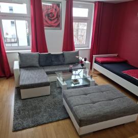 Große 4 Zimmerwohnung Zwickau
