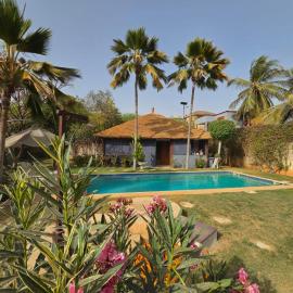 Jardin d'Afrique, Saly