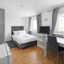 Frankfurt West Airport Apartment