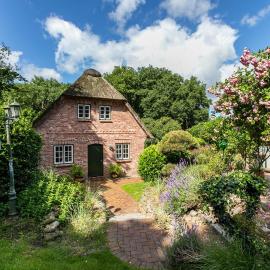 My Little Rose Cottage