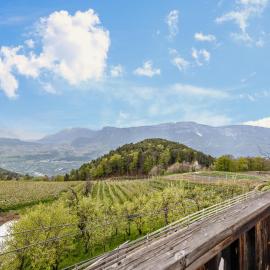 Malgorerhof Mathilde, hotell i San Genesio Atesino