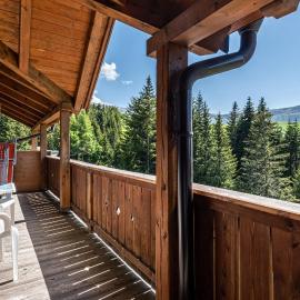 Sabina Dolomites Latsche
