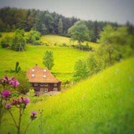 Ferienwohnung Teich 11, 126qm, hotel u gradu Gütenbach
