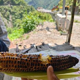 New Tourist Homestay