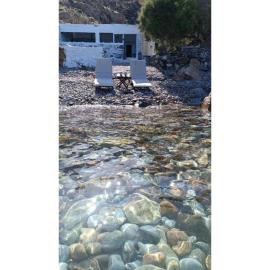 Seagull Syros Seaside