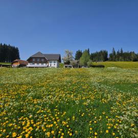 Lorenzenhäusle Titisee-Neustadt