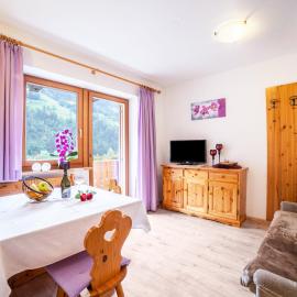 Sonnenparadies Apartement 2