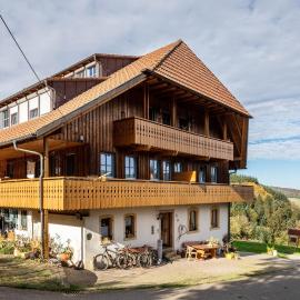 Ringlihof, Hotel in Horben