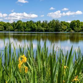 Fewo am Stadtsee - Bad Waldsee