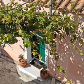 Villa Drosia, hotel sa Volimes
