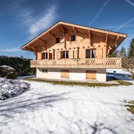 Chalet Phidel - 11 personnes, hotel en Bernex