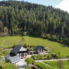 Waldbauernhof, ξενοδοχείο σε Hornberg