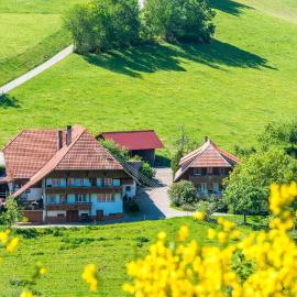 Prinzbachhof, hotel a Mühlenbach