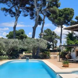 Charming villa by the sea