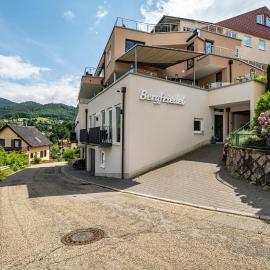 Wein- und Klimahotel Bergfriedel, hotel in Bühlertal