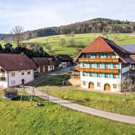 Wanglerhof Familie Wangler, Hotel in Schuttertal