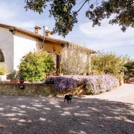 Agriturismo Podere Bellavista, hotel in Grosseto