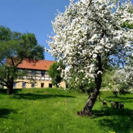 Ferienwohnung Böhme