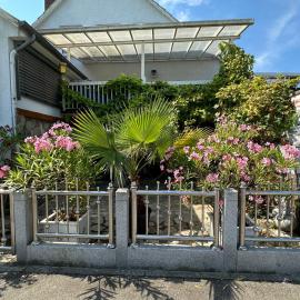 Ferienwohnung Insel Reichenau