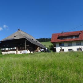 Hinterbauernhof Fewo Kuhgeflüster