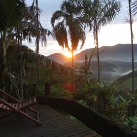 Eco Hostel Organic Life، فندق في ترينيداد