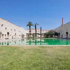 Fine Arts Convento das Bernardas Bb