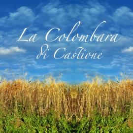 La Colombara di Castione