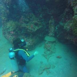 Anilao Scuba Dive Center (ASDC), hotel v destinaci Batangas