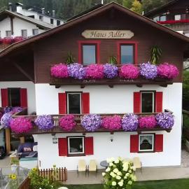 Haus Adler