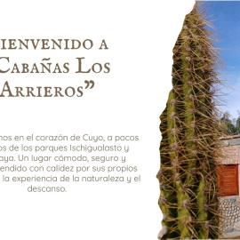 Cabañas Los Arrieros, hotel a Balde del Rosario