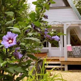 Ferienhaus am Waldrand