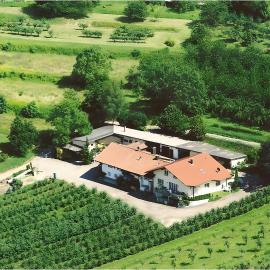 Weingut Ringwald