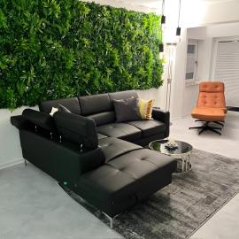 Ferienwohnung Oleander