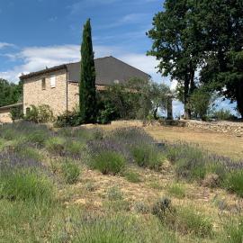 Ferme du Luberon, מלון בMane