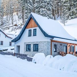 Holiday Home Vilém by Interhome