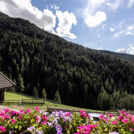 Apt Talblick Hinterproslhof