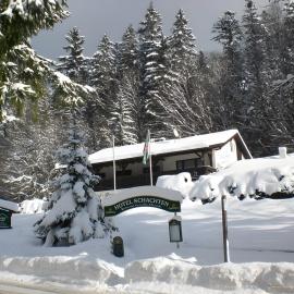 Hotel Schachten, hotel in Lindberg