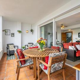 Congrio - Resort Holiday Treat