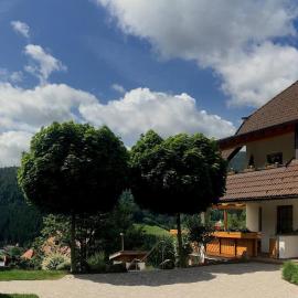 Trenklehof, Hotel in Simonswald