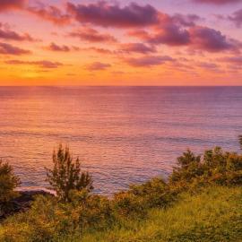 NEW Sunset Cove Hale Breathtaking View Pool AC