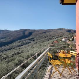 Agriturismo Il nido tra gli ulivi