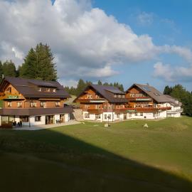 Cafe-Restaurant-Gästehaus Waldvogel, hotel in Feldberg
