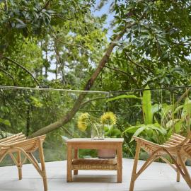 Secluded rainforest getaway, hotel in Currumbin Valley