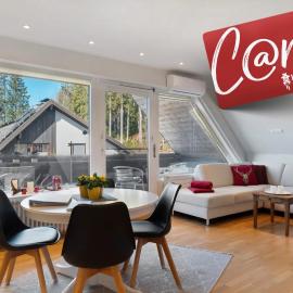 Ferienwohnung Hirschsprung Saig