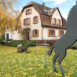 Goldberg, hotel v mestu Grünstadt